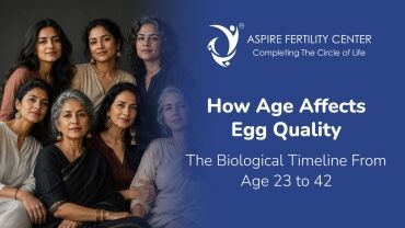 Fertility Articles 1 how age affects egg quality