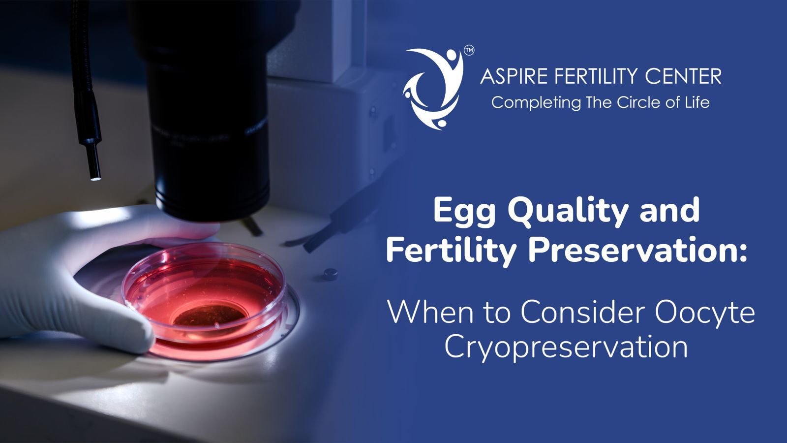 Egg Quality and Fertility Preservation: When to Consider Oocyte Cryopreservation Egg Quality and Fertility Preservation When to Consider Oocyte Cryopreservation