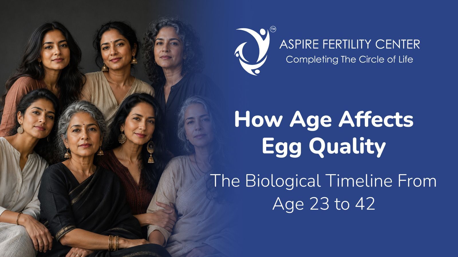 How Age Affects Egg Quality: The Biological Timeline From Age 23 to 42 how age affects egg quality